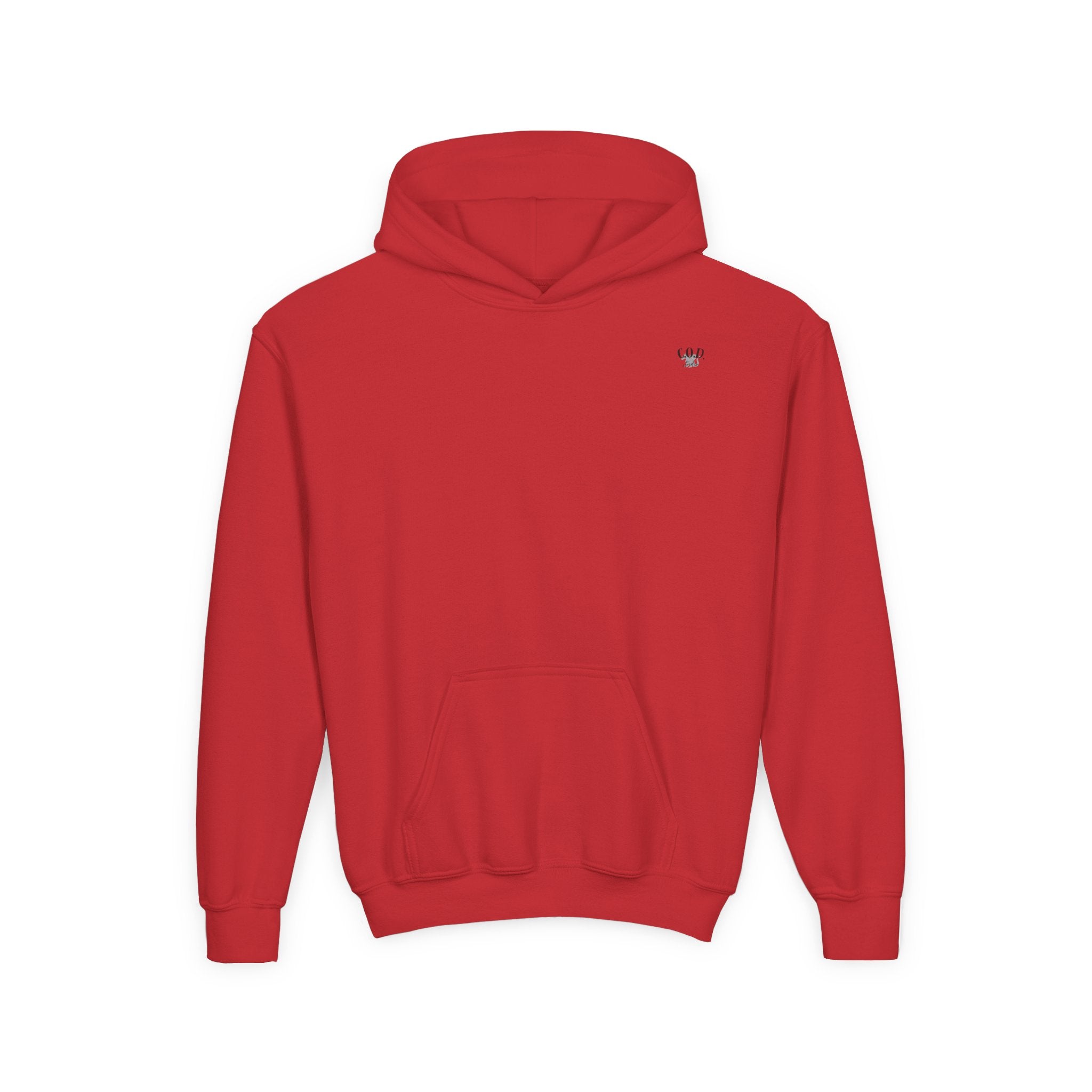 Viking Mode Skull with Horned Helmet Hoodie | Youth Hoodie