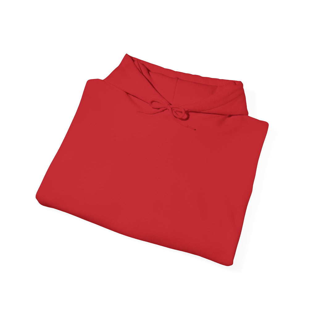 Unisex Heavy Blend™ Hooded Sweatshirt | DMs Gaming Reality